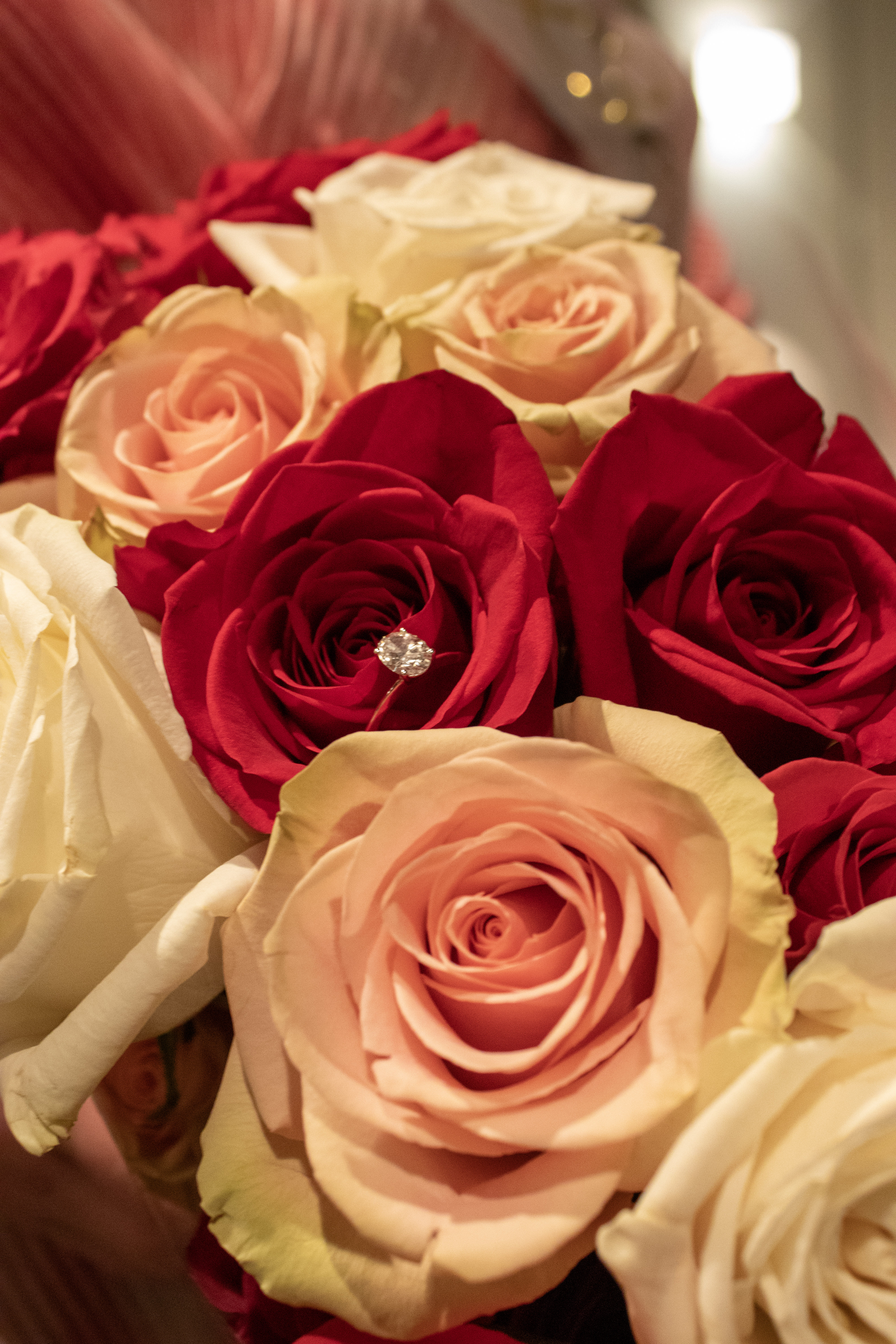 Proposal Photo 15